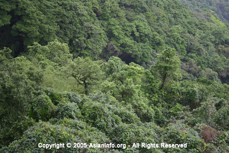 hong-kong-s-geography
